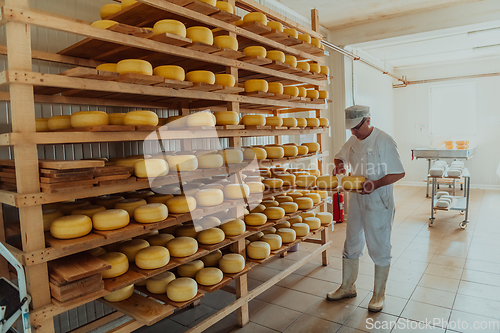 Image of A worker at a cheese factory sorting freshly processed cheese on drying shelves