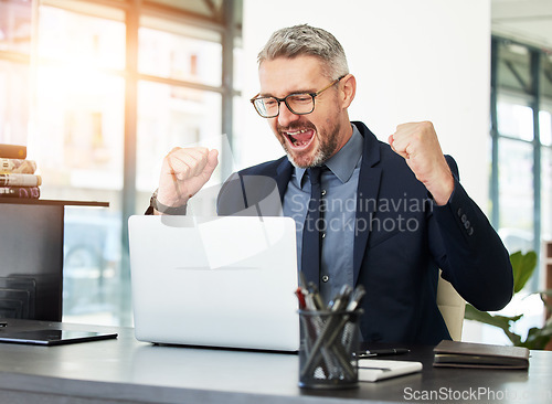 Image of Business man, laptop and celebration fist for bonus, profit or investment with excited face for stock market success. Senior entrepreneur, broker or winner with goal, achievement or gambling on web