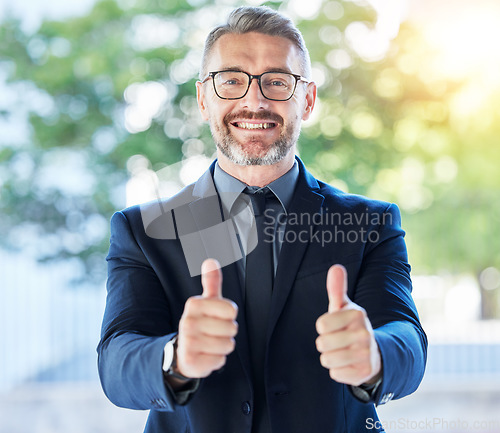 Image of Business man, senior executive and thumbs up, support and agreement in portrait with smile and positive feedback. Male CEO, corporate deal and yes vote with voice, emoji and like, happy with opinion