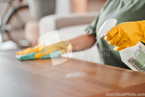 Image of Hands, cleaning and spray on a wooden table for hygiene, disinfection or to sanitize a surface in a home. Gloves, bacteria and product with a woman cleaner in the living room for housework or chores