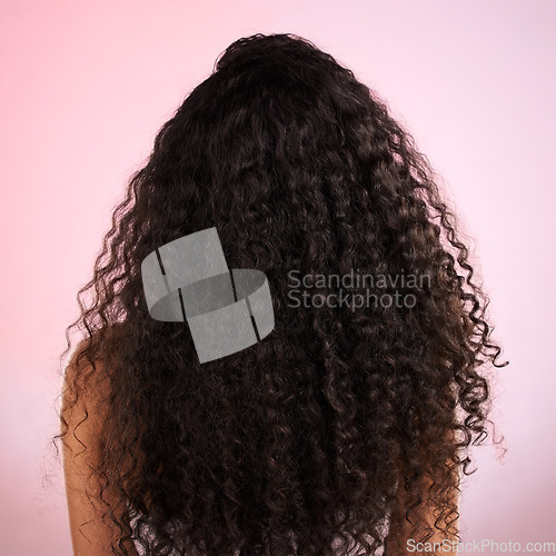 Image of Woman, back and healthy hair in studio for wellness, cosmetics and growth by pink background. Girl, model and natural coil with balayage, shine and clean glow with texture, results or transformation