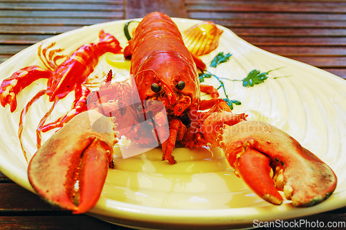 Image of Lobster