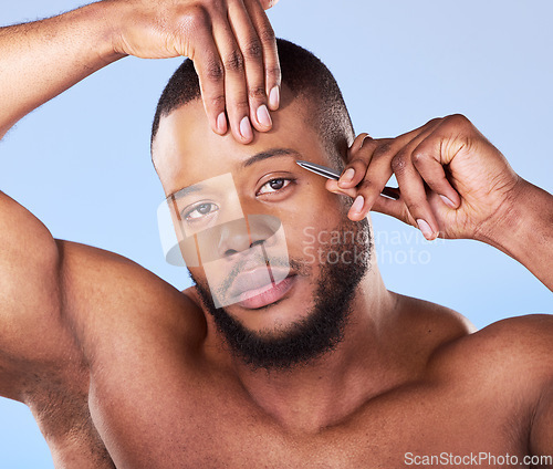 Image of Self care, tweezer and portrait of a man in a studio grooming and shaping his eyebrows for epilation. Beauty, hygiene and young male model with face hair removal treatment isolated by blue background