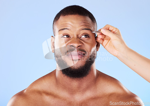 Image of Beauty, tweezers and young man in a studio for grooming his eyebrows for face epilation. Health, hygiene and male model with facial hair removal treatment for self care isolated by a blue background.