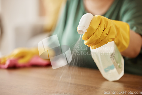Image of Hand, spray bottle and a woman cleaning a wooden surface in her home for hygiene or disinfection. Gloves, product and bacteria with a female cleaner using detergent to spring clean in an apartment