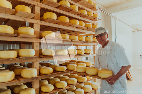 Image of A worker at a cheese factory sorting freshly processed cheese on drying shelves