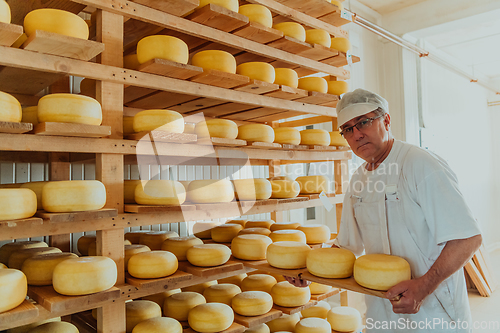 Image of A worker at a cheese factory sorting freshly processed cheese on drying shelves