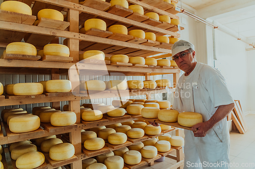 Image of A worker at a cheese factory sorting freshly processed cheese on drying shelves