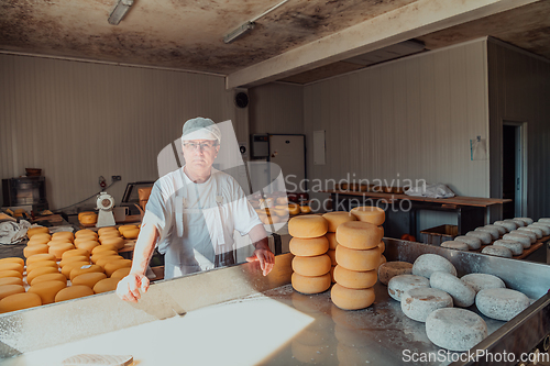 Image of The cheese maker sorting freshly processed pieces of cheese and preparing them for the further processing process