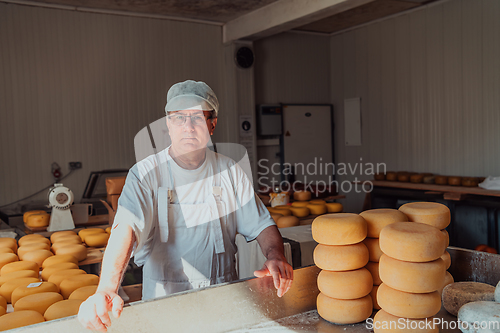 Image of The cheese maker sorting freshly processed pieces of cheese and preparing them for the further processing process