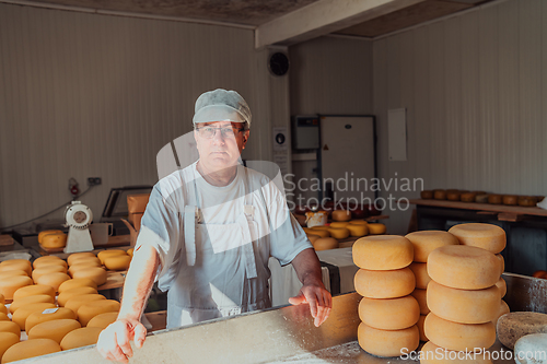 Image of The cheese maker sorting freshly processed pieces of cheese and preparing them for the further processing process