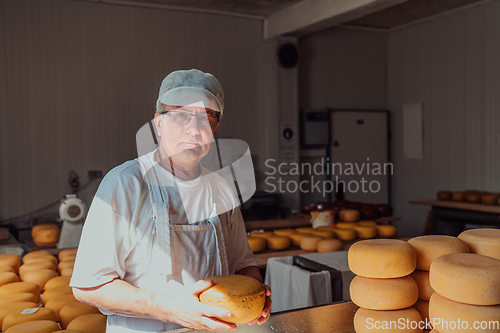 Image of The cheese maker sorting freshly processed pieces of cheese and preparing them for the further processing process