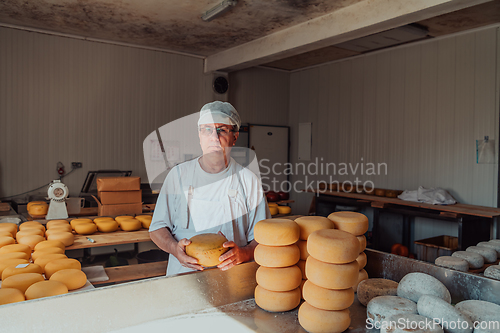 Image of The cheese maker sorting freshly processed pieces of cheese and preparing them for the further processing process