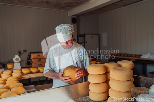 Image of The cheese maker sorting freshly processed pieces of cheese and preparing them for the further processing process