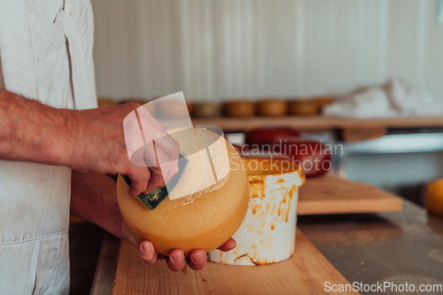 Image of Cheese maker working in the industry for manual production of homemade cheese