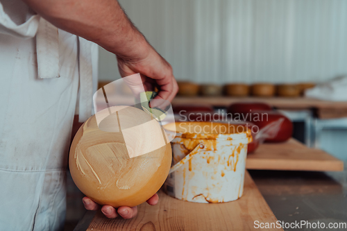 Image of Cheese maker working in the industry for manual production of homemade cheese