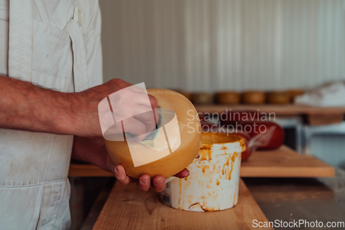 Image of Cheese maker working in the industry for manual production of homemade cheese