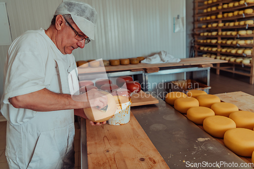 Image of Cheese maker working in the industry for manual production of homemade cheese