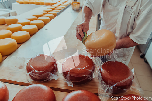 Image of Cheese maker working in the industry for manual production of homemade cheese