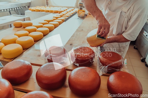 Image of Cheese maker working in the industry for manual production of homemade cheese