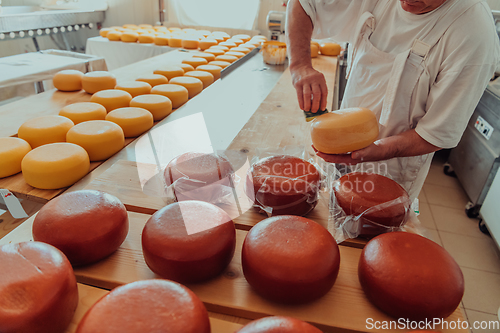 Image of Cheese maker working in the industry for manual production of homemade cheese