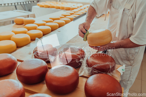 Image of Cheese maker working in the industry for manual production of homemade cheese