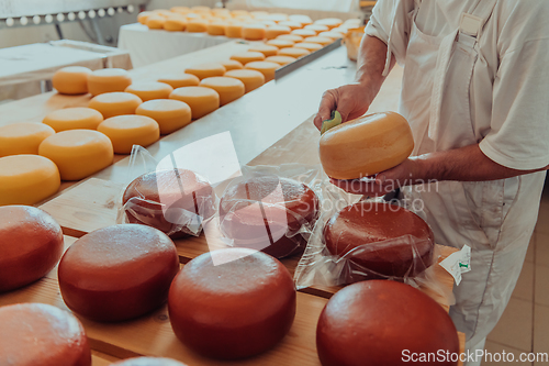 Image of Cheese maker working in the industry for manual production of homemade cheese