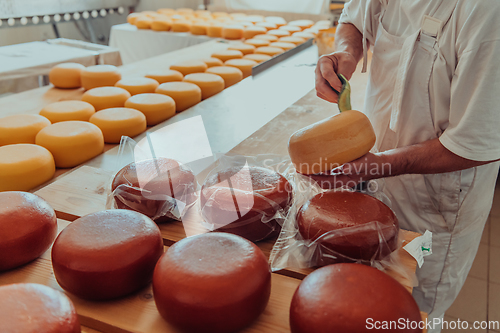 Image of Cheese maker working in the industry for manual production of homemade cheese