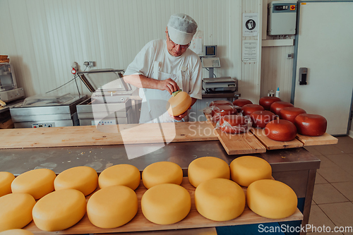 Image of Cheese maker working in the industry for manual production of homemade cheese