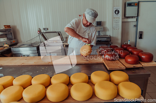 Image of Cheese maker working in the industry for manual production of homemade cheese