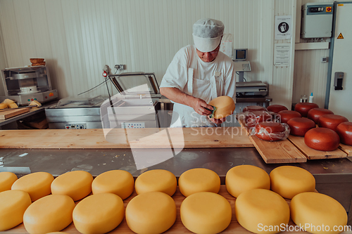 Image of Cheese maker working in the industry for manual production of homemade cheese