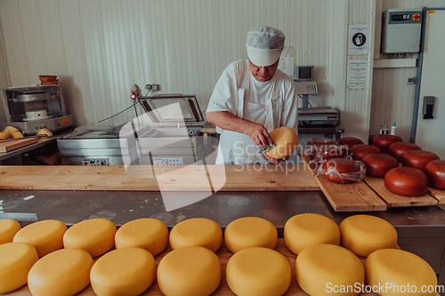 Image of Cheese maker working in the industry for manual production of homemade cheese