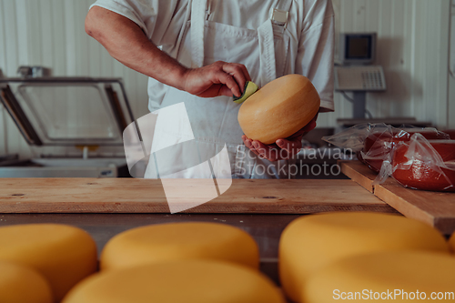 Image of Cheese maker working in the industry for manual production of homemade cheese