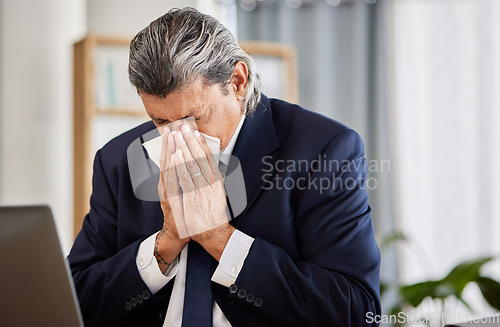 Image of Business, sick and senior man sneeze, tissue or allergy with bacteria, flu season or disease. Male person, lawyer or employee with allergies, risk of health, cold or influenza or fever in an office