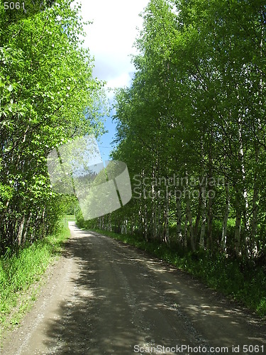 Image of 