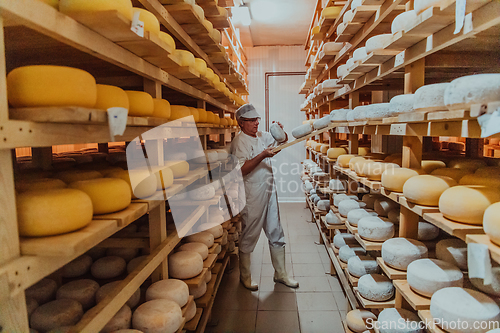 Image of A worker at a cheese factory sorting freshly processed cheese on drying shelves