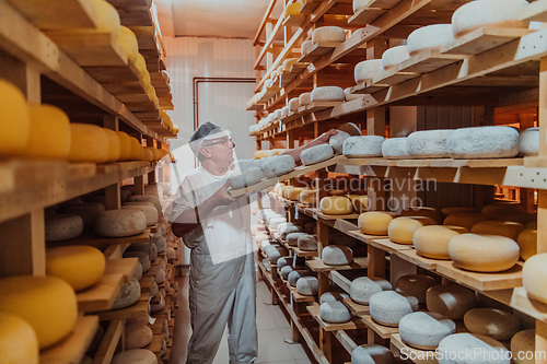 Image of A worker at a cheese factory sorting freshly processed cheese on drying shelves