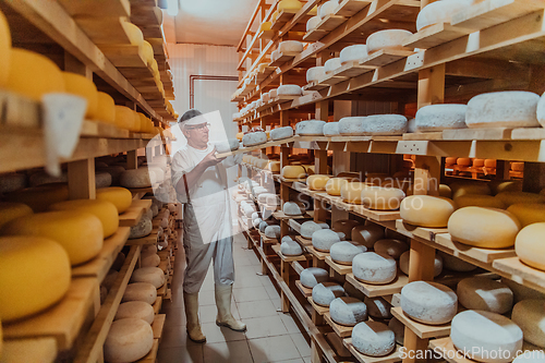 Image of A worker at a cheese factory sorting freshly processed cheese on drying shelves