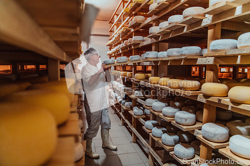 Image of A worker at a cheese factory sorting freshly processed cheese on drying shelves