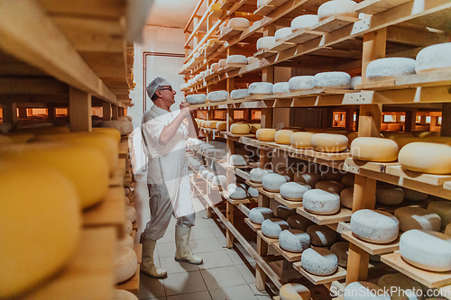 Image of A worker at a cheese factory sorting freshly processed cheese on drying shelves