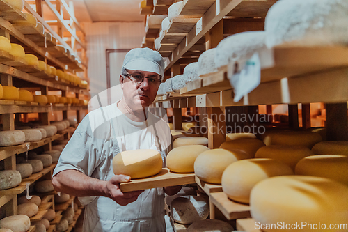 Image of A worker at a cheese factory sorting freshly processed cheese on drying shelves