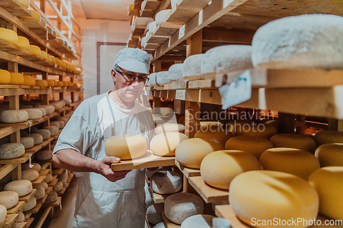 Image of A worker at a cheese factory sorting freshly processed cheese on drying shelves