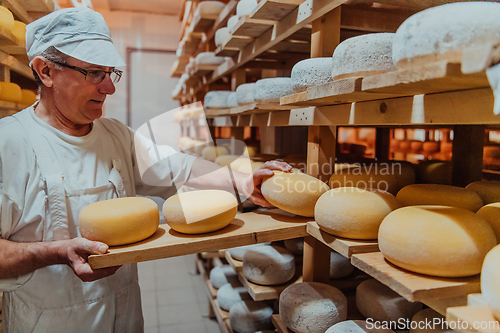 Image of A worker at a cheese factory sorting freshly processed cheese on drying shelves