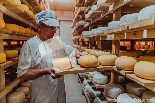 Image of A worker at a cheese factory sorting freshly processed cheese on drying shelves