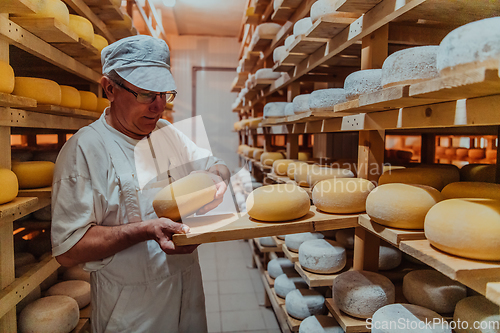 Image of A worker at a cheese factory sorting freshly processed cheese on drying shelves