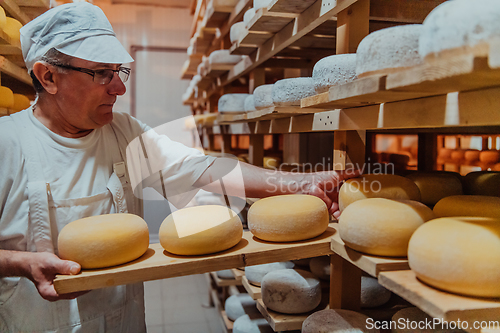 Image of A worker at a cheese factory sorting freshly processed cheese on drying shelves