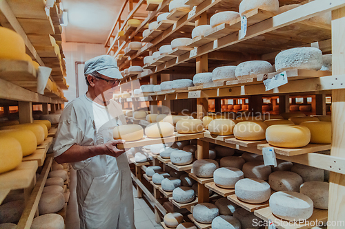 Image of A worker at a cheese factory sorting freshly processed cheese on drying shelves