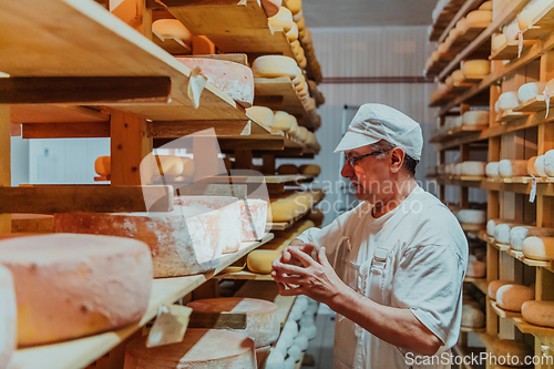 Image of A worker at a cheese factory sorting freshly processed cheese on drying shelves