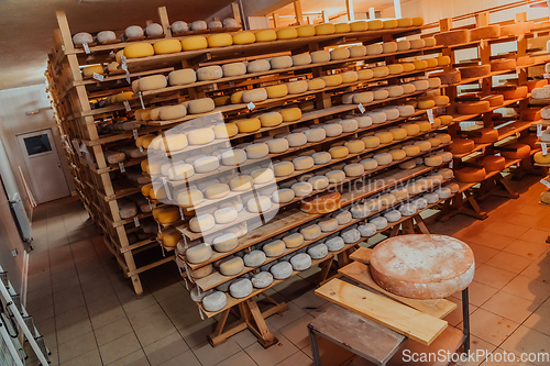 Image of A large storehouse of manufactured cheese standing on the shelves ready to be transported to markets