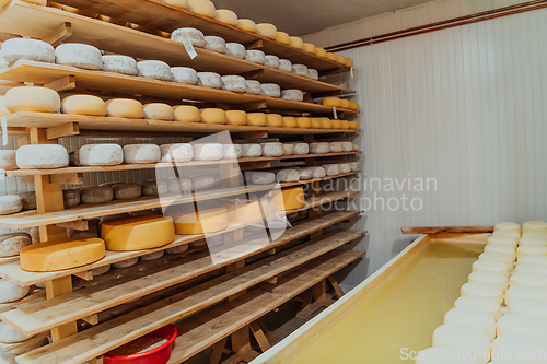 Image of A large storehouse of manufactured cheese standing on the shelves ready to be transported to markets